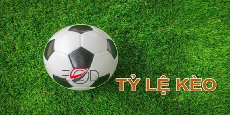 app cá cược bóng đá uy tín 